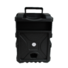 BOCINA BT 8 RGB MICROFNO AUX RADIO JK10